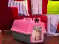 بازی Escape The Small Pug آنلاین