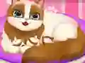 بازی Cute Kitty Pregnant آنلاین