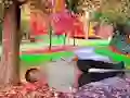 بازی Rescue A Wounded Guy آنلاین