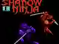 بازی Shadow of the Ninja آنلاین