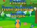 بازی Escape from Scenery Jungle آنلاین