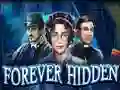 بازی Forever Hidden آنلاین