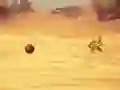 بازی Monkey Shooting آنلاین