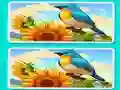 بازی Spot the Difference The Garden آنلاین