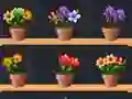 بازی Good Flower Master آنلاین