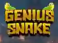 بازی Genius Snake آنلاین