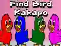 بازی Find Bird Kakapo آنلاین