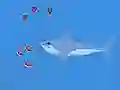 بازی Oceans Shees آنلاین
