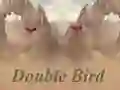بازی Double Bird آنلاین