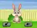 بازی Springtime Escape آنلاین
