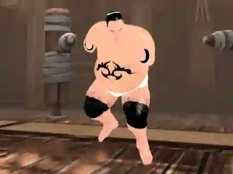 بازی Sumo Fury آنلاین
