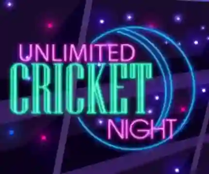 بازی Unlimited Cricket Night آنلاین