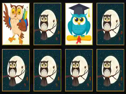 بازی Cute Owl Memory آنلاین