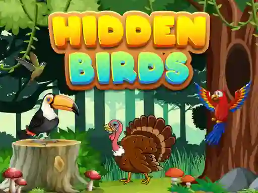 بازی Hidden Birds آنلاین