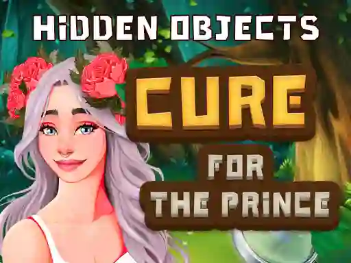 بازی Hidden Objects Cure For The Prince آنلاین