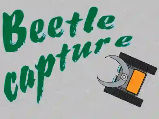 بازی Beetle Capture آنلاین