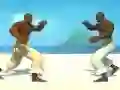 بازی Capoeira fighter آنلاین