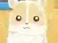 بازی Hamster Love آنلاین