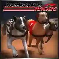 بازی Greyhound Racing آنلاین