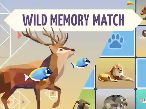 بازی Wild Memory Match آنلاین
