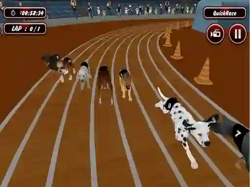 بازی Crazyl Dog Racing Fever آنلاین