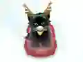 بازی Pet Sledding آنلاین