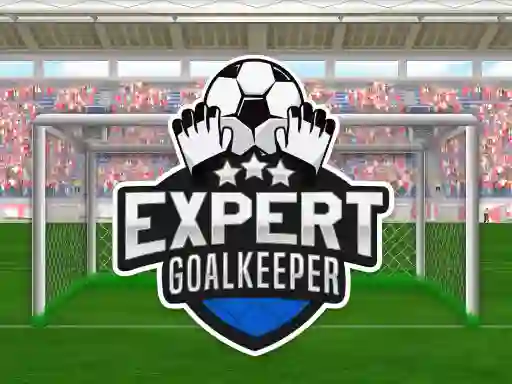 بازی Expert Goalkeeper آنلاین
