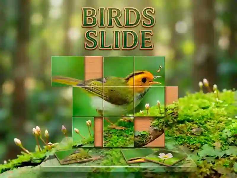 بازی Birds Slide آنلاین