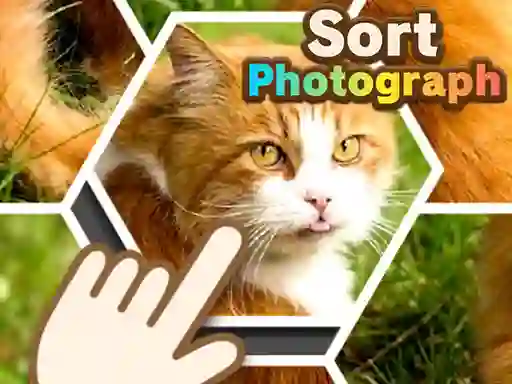 بازی Sort Photograph آنلاین