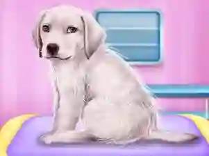 بازی Labrador at the doctor salon آنلاین