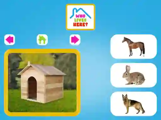 بازی Who Lives Here آنلاین