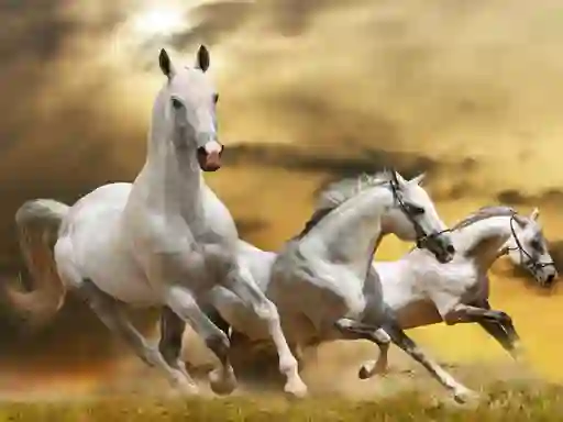 بازی Running Horse Slide آنلاین