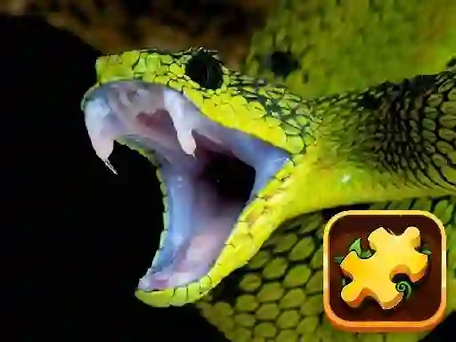 بازی Snake Puzzle Challenge آنلاین