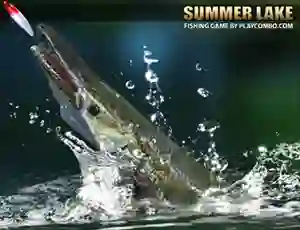 بازی Summer Lake آنلاین