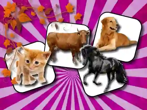 بازی Domestic Animal Memory Challenge آنلاین