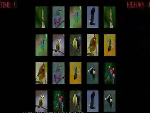 بازی Memorize the birds آنلاین