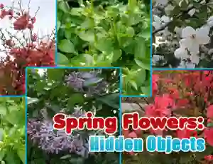 بازی Spring Flowers: Hidden Objects آنلاین