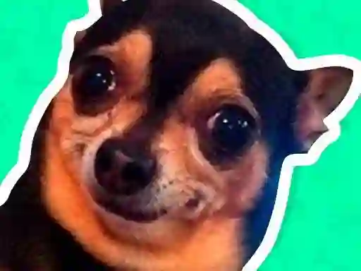 بازی What meme dog are you ? آنلاین