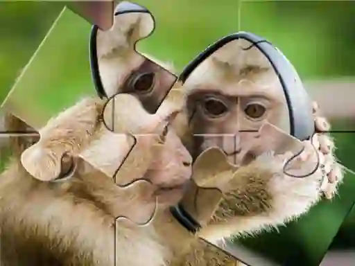 بازی Chimpanzee Jigsaw آنلاین