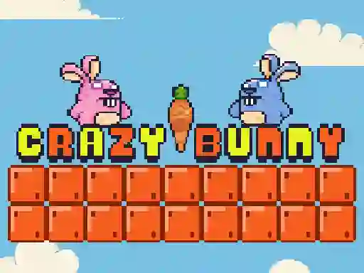 بازی Crazy Bunny آنلاین