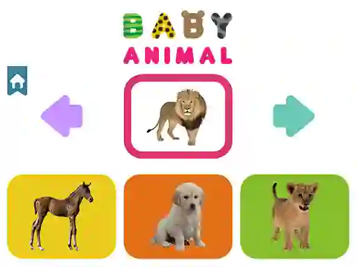 بازی Baby Animal آنلاین