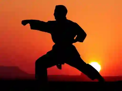 بازی Karate Sunset Warriors آنلاین