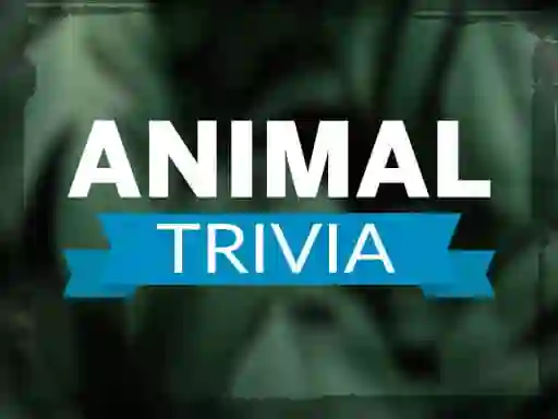 بازی Animal Trivia آنلاین