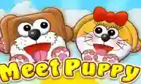 بازی Meet Puppy آنلاین