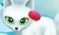 بازی Paws to Beauty Arctic Edition آنلاین