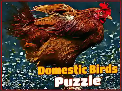 بازی Domestic Birds Puzzle آنلاین