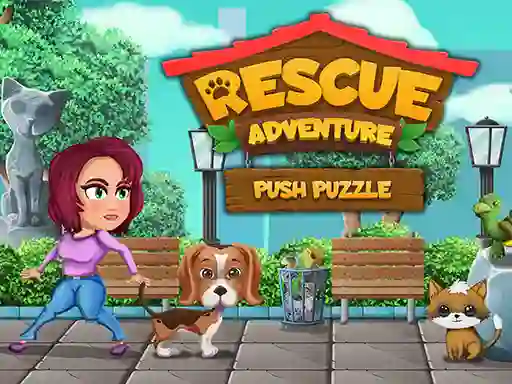 بازی Rescue Adventure Push Puzzle آنلاین