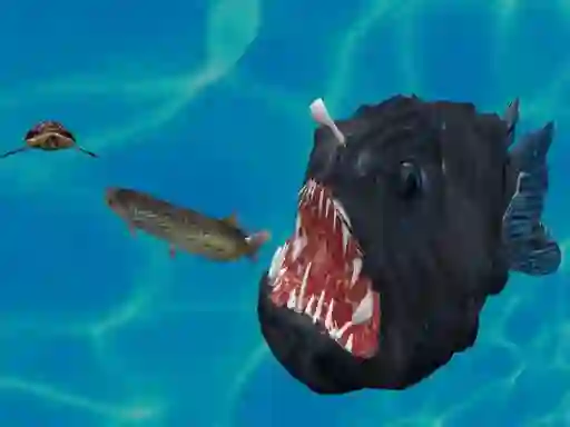 بازی Fish 3d آنلاین