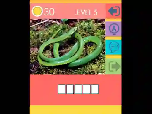 بازی 15 Picture Quiz آنلاین