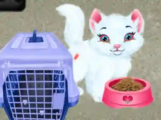 بازی Baby Taylor Pet Care آنلاین